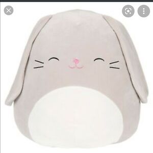 Blake the bunny 12 inch squishmallow new